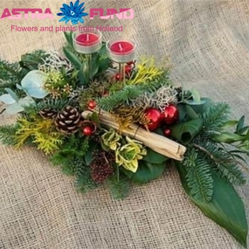 Kerstartikelen per stuk Kerststukjes 19% photo
