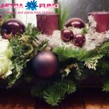 Kerstartikelen per stuk Kerststukjes 6% photo
