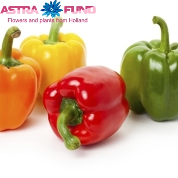 Siervruchten per stuk Capsicum annuum (los sierpaprika) foto