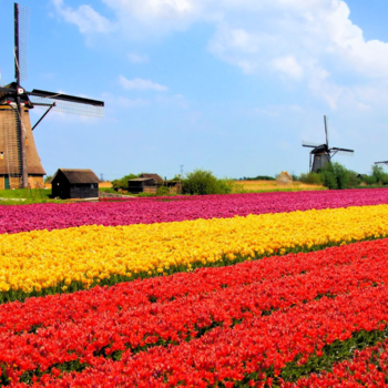 Agriculture photo
