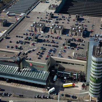 Auctions Royal Flora Holland fotó