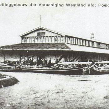 Auction History fotó