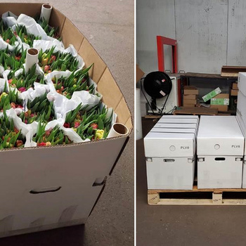 RONICO boxes ! fotografie