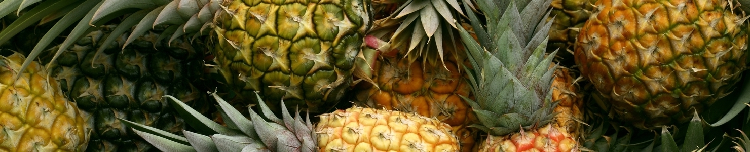 Ananas photo